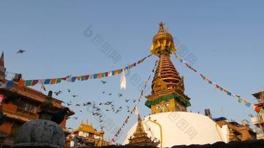 色彩斑斓的祈祷旗帜wawing风佛塔寺庙神圣的宝塔象征尼泊尔加德满都佛的眼睛日落重度营养藏文佛教鸽子飞行古老的体系结构